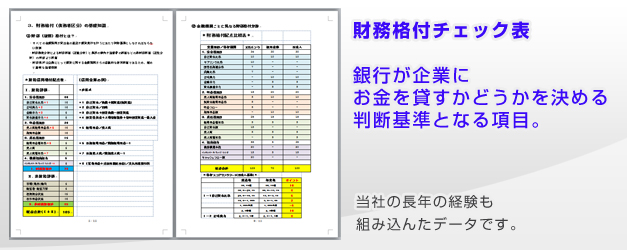 東京事業再生ER橋口貢一の財務格付チェック表